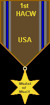 1st Historical American Civil War Tournament - Medal of Merit ( 100 pts + )