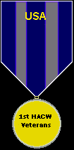 1st Historical American Civil War Tournament - Veterans Medal ( 100 turns + )