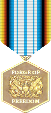 FOF The Coming Fury (Balanced) Advanced Game Medal