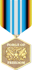 FOF The Coming Fury (Imbalanced) Advanced Game Medal