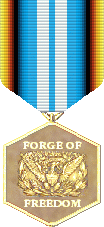 FOF Standard Scenario Advanced Game Medal