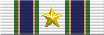 Union Academy Instructor Medal 10 Cadets